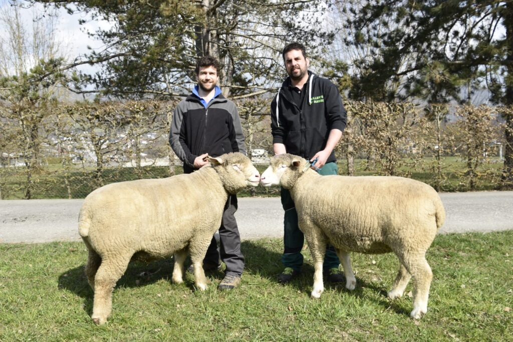 1a2a35ff-6ef4-473b-8085-d2ce8605d2e0